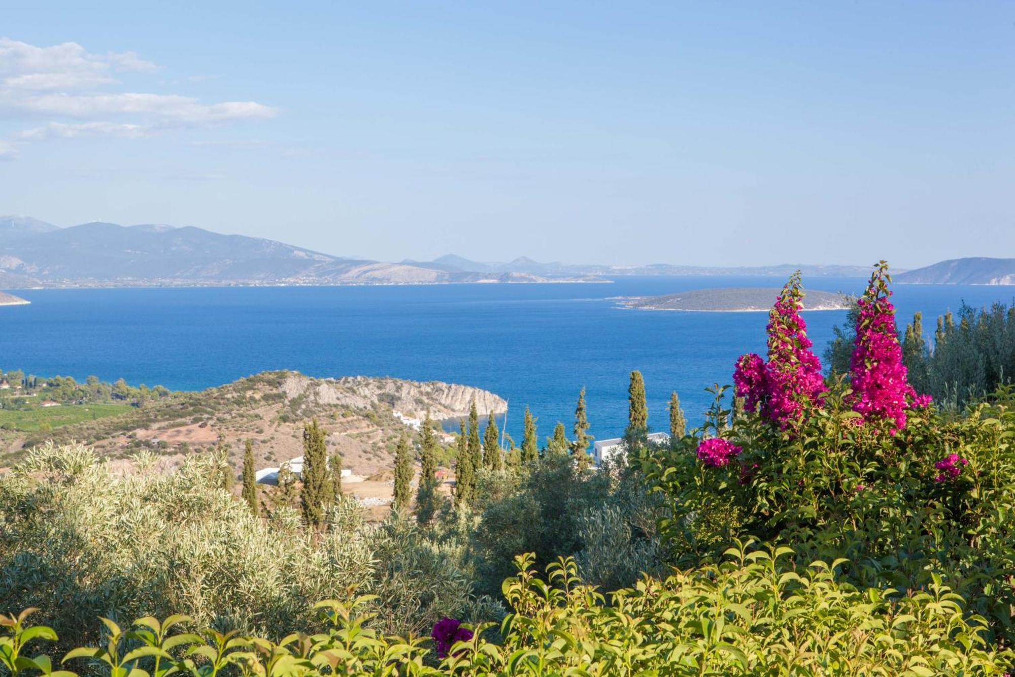 Villa Artemis Nafplion Толон Екстериор снимка